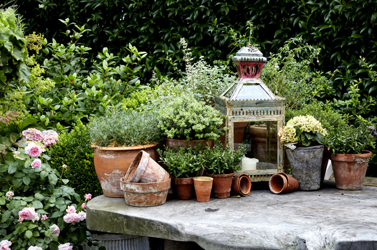 Detailed shot of plant pots on a table of the Roof Terrace at Ham Yard Hotel