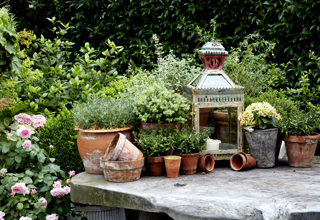 Detailed shot of plant pots on a table of the Roof Terrace at Ham Yard Hotel