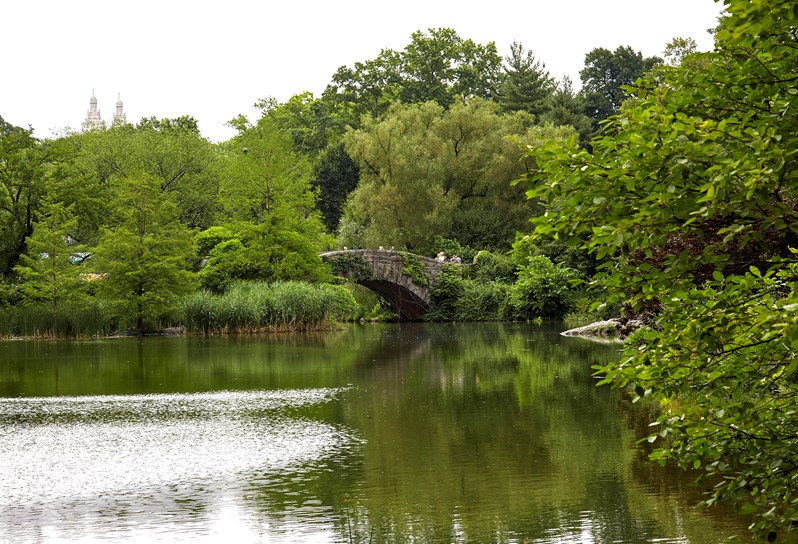 Near The Whitby Hotel, you can find world famous Central Park, pictured here in the peak of spring with leafy green surrounding the lake.