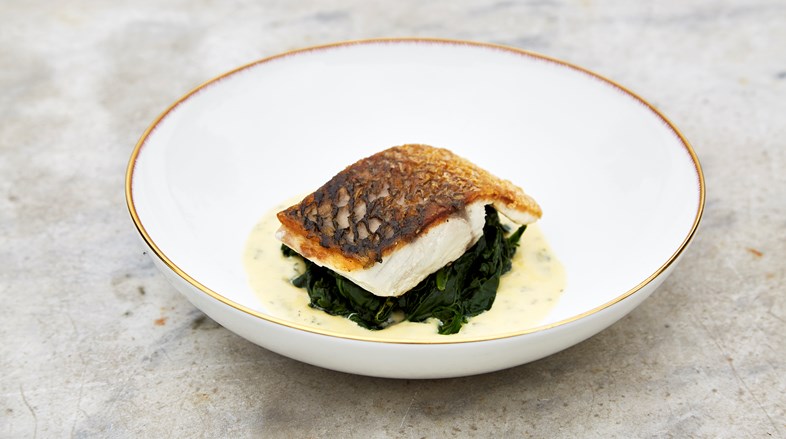 Close up image of a pan fried slice of fish on wilted spinach with a cream sauce.