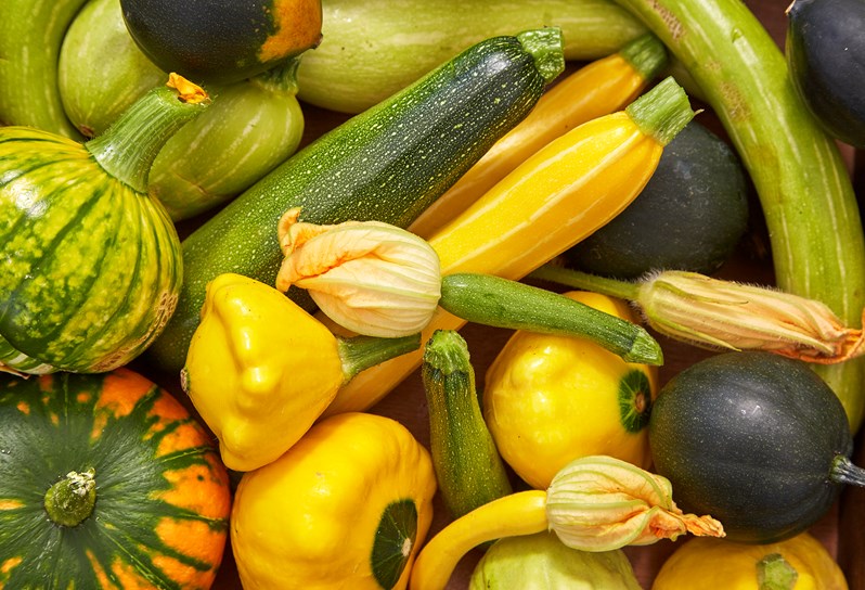 A selection of autumnal vegetables including pumpkins