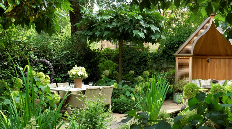 The leafy green garden at Number Sixteen with pergola