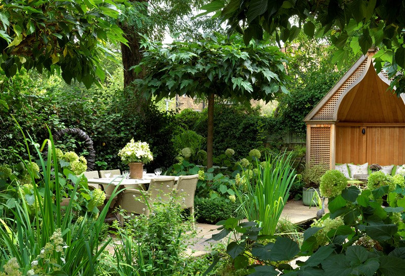 The leafy green garden at Number Sixteen with pergola