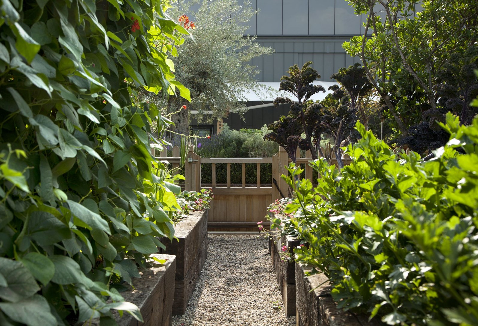 Ham Yard Hotel, London Kitchen Garden