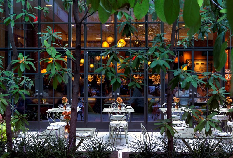 The image looks through the trees at an outdoor dining terrace. Beyond the tables through the Crittall windows is the inviting glow of a bar.