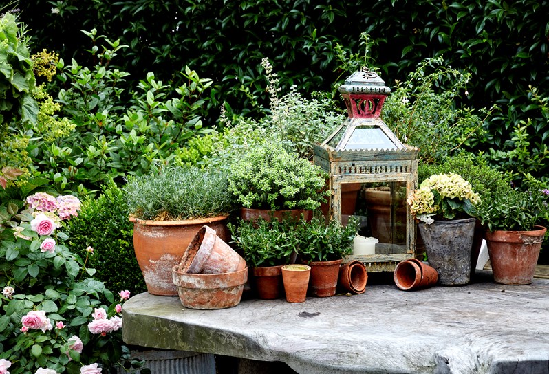 A collection of plants in terracotta pots and a hurricane lantern rest on top of a wooden table