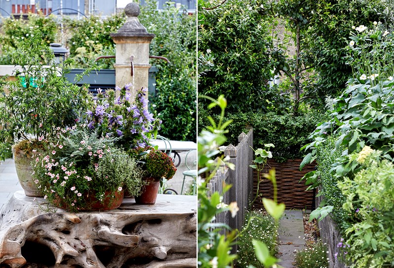 An image of plants sitting in pots on a petrified wood table sits next to an image of a garden path enclosed by greenery