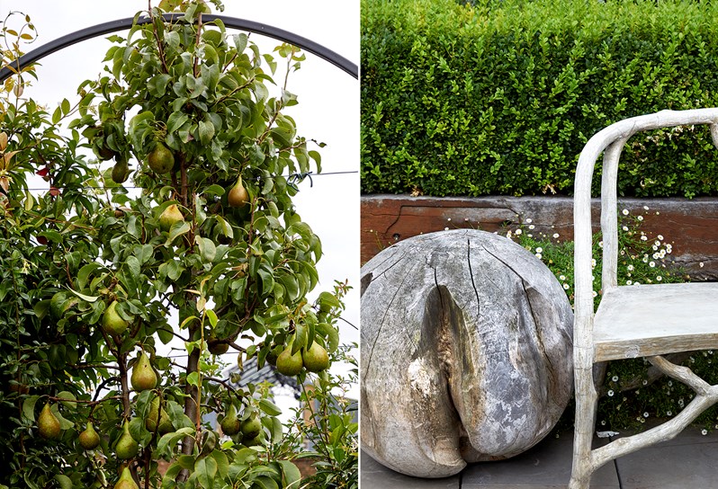 An image of a bountiful pear tree next to an image of the edge of a wooden bench and a wooden sculpture sitting in front of a hedge