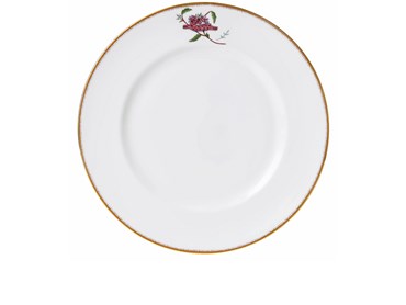Front of Dinner plate 27cm