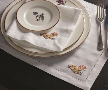 Plate and napkin