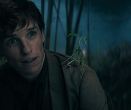 A still from the film 'Fantastic Beasts: The Secrets of Dumbledore' - link to Fantastic Beasts - The Secrets of Dumbledore