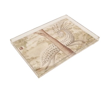 Tall Trees acrylic tray