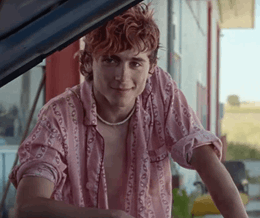 A still image from the film Bones and All - link to Bones And All
