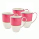  Calypso Pink Mug Set of 4