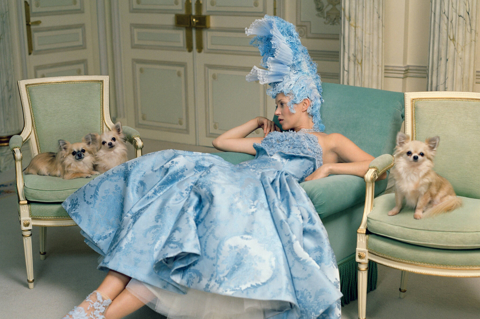 The model Kate Moss lounges in a chair in a highly decorated hotel room surrounded by small dogs