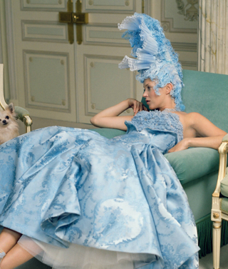The model Kate Moss lounges in a chair in a highly decorated hotel room surrounded by small dogs