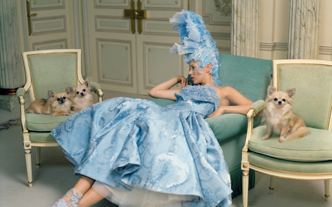 The model Kate Moss lounges in a chair in a highly decorated hotel room surrounded by small dogs