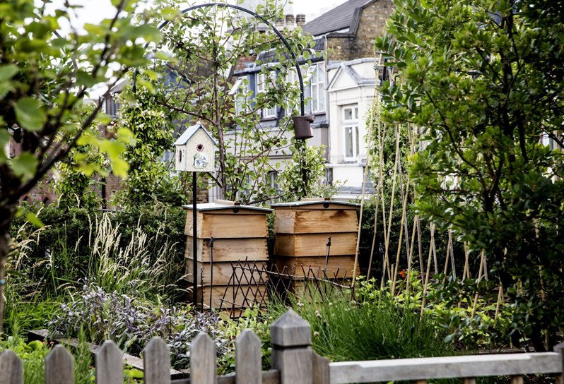 Two large beehives standing at the back of a leafy kitchen garden on a roof terrace, looking out over Soho's buildings in the background.