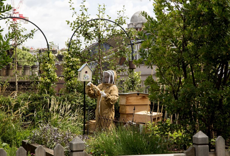 A dedicated beekeeper in full gear in front of a beehive and a bird box in a leafy roof terrace garden.