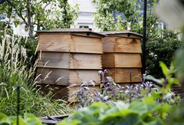 Closeup of two wooden beehives in a leafy garden on Ham Yard Hotel's private roof terrace.