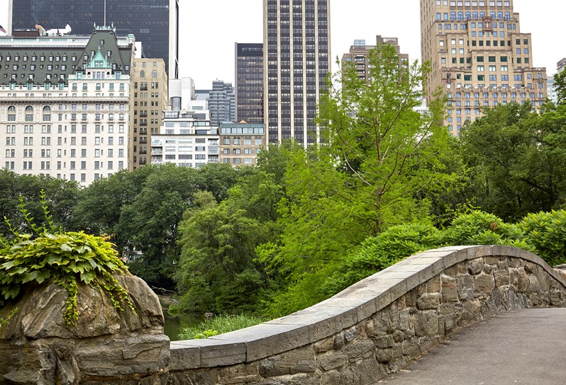 Some of Midtown Manhattan's high rise buildings as seen from a green, leafy Central Park.