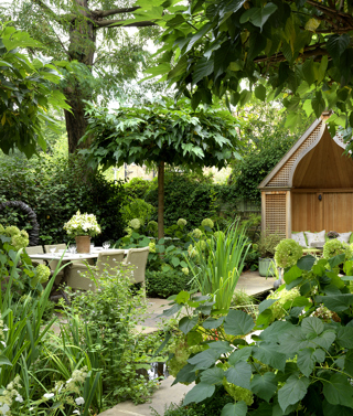 A shot of the corner of The Orangery garden at Number Sixteen