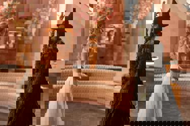 A still from 'Wicked: For Good'. A blond haired woman in a pink dress stands opposite a green witch dressed in black