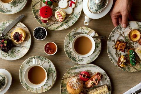 Festive Afternoon Tea shot from above. Cups of tea and plates of cakes and sandwiches laid on a table on Tall Trees crockery