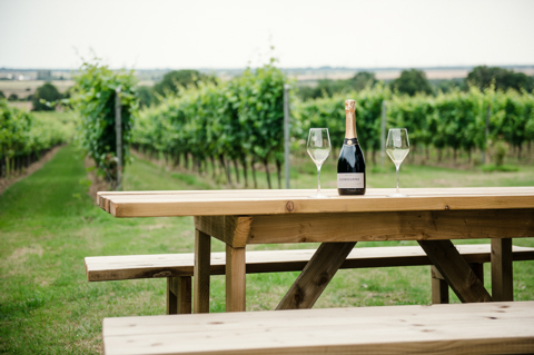 A wide angle shot of the vineyard at Gusbourne Winery in Kent. In the foreground there is a bottle of Gusbourne Brut Reserve along with two glasses on a bench.