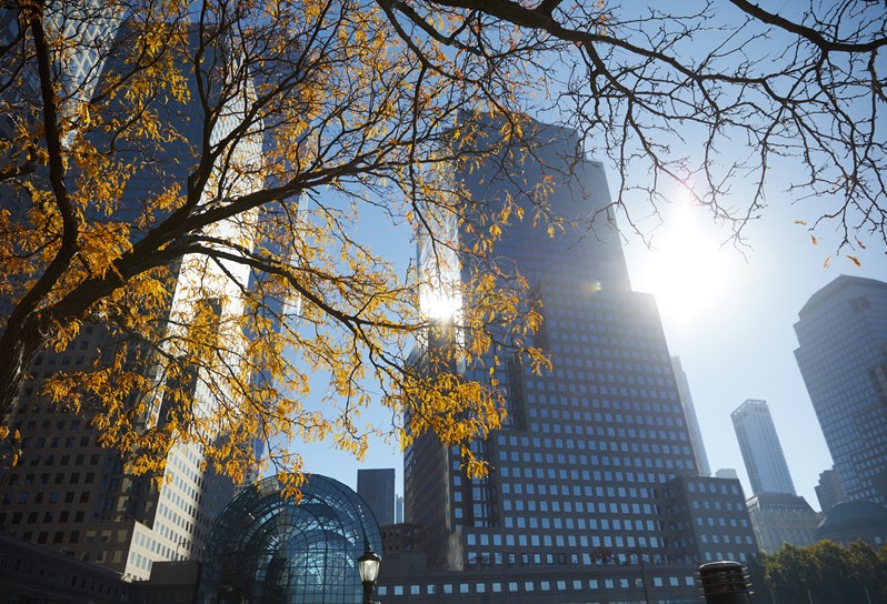An autumn day in Tribeca, New York