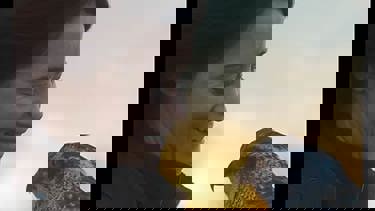 A still from "H is For Hawk" showing a side angle of a woman looking at a hawk. Backdrop is yellow sunrise.