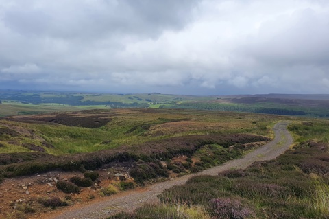 An image of a countryside landscape showing lots of greenery and mountains in the distance
