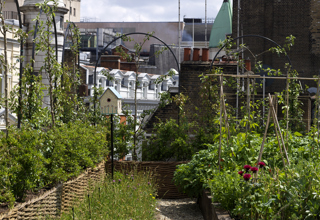An image of the bird house and the vegetable garden on the roof terrace at Ham Yard Hotel.