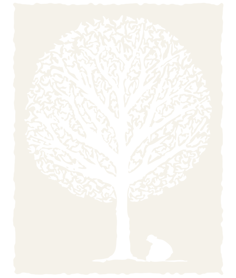 Sapling Spirits logo and tree icon in white on a transparent background