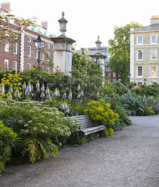 Inner Temple Gardens in London in high summer