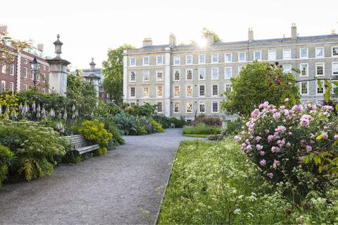 Inner Temple Gardens in London in high summer