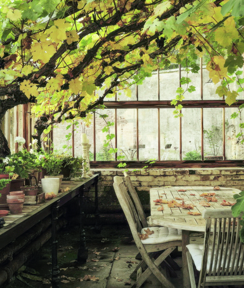 An image to promote Harriet Thystlethwaytes new book 'A country style: living and creating with nature through the seasons'. The image shows the inside of a greenhouse with a table on the right.