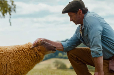 A still from the film "The Sheep Detectives": the image displays a man kneeling on the ground petting a sheep