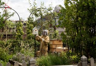 An image of the bee keeper tending to the hive on the roof terrace at Ham Yard Hotel.