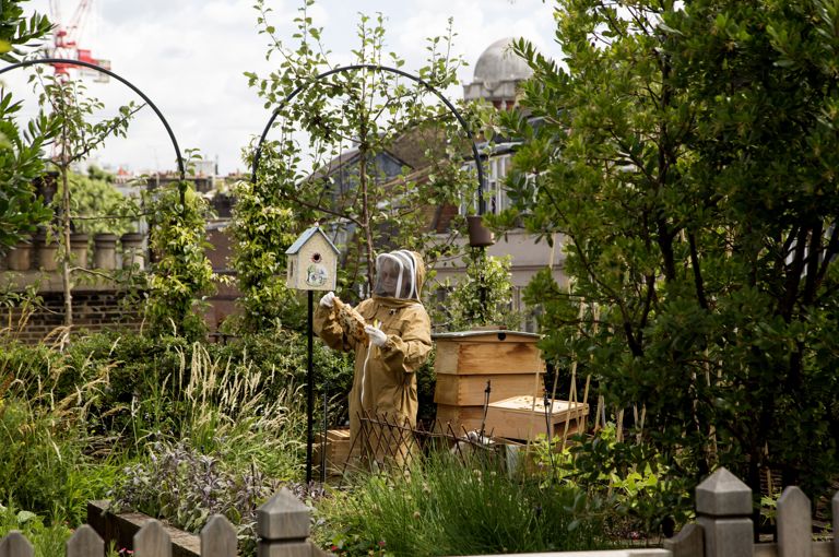 An image of the bee keeper tending to the hive on the roof terrace at Ham Yard Hotel.