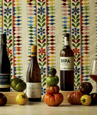 Wide shot of tomatoes and wine 